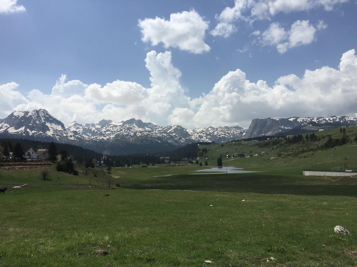 Villa Moutain View Žabljak Zewnętrze zdjęcie